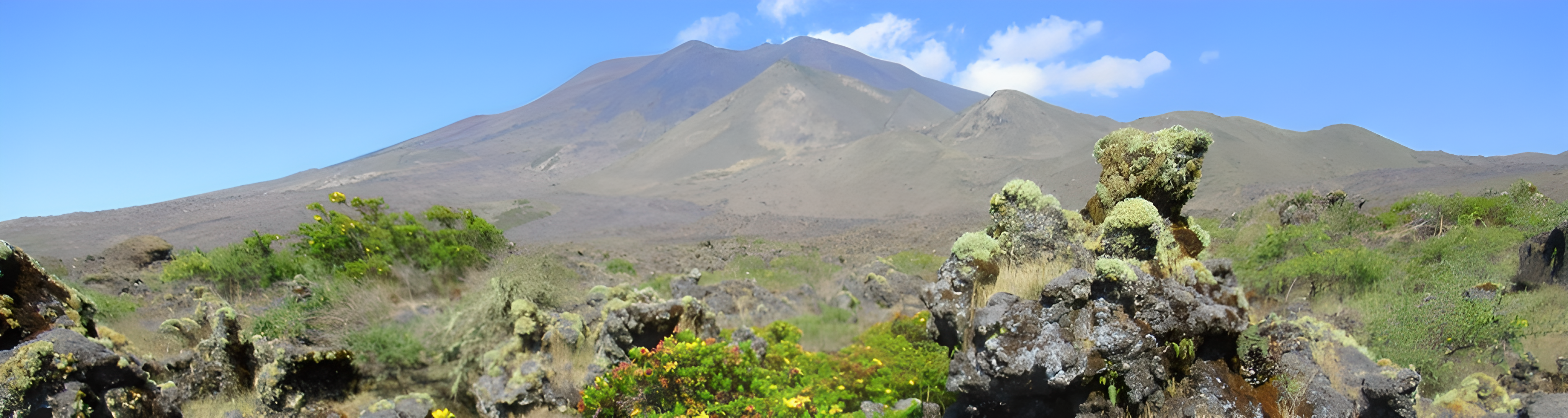 Le Mont Cameroun - Image 1
